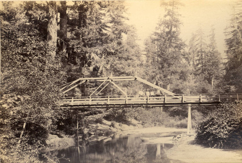 A foot bridge over Papermill Creek (Laguinitas Creek) in Camp Taylor, Marin County, California, 1889 [photograph]