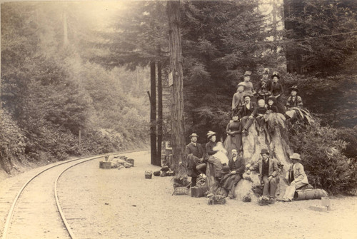 Excursionists waiting to be picked up by the North Pacific Coast Railroad, Taylorville, Marin County, California, 1889 [photograph]