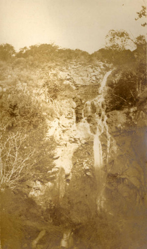 Waterfall in Black Canyon, San Rafael, California, January 1914 [photograph]