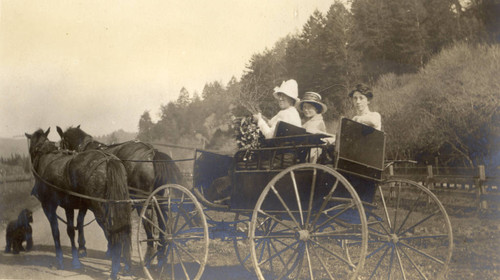 Women driving a two-horse cart in Marin County, March 1914 [photograph]