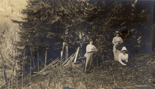 Dr. Agnes Walker, Una Boyle, and Dr. Millicent Cosgrave near Lagunitas, California, March 1914 [photograph]