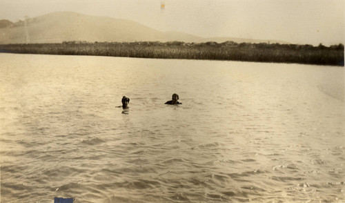 Beatrice Howitt and Alice Oge swimming in the San Rafael Canal, San Rafael, California, September 1913 [photograph]