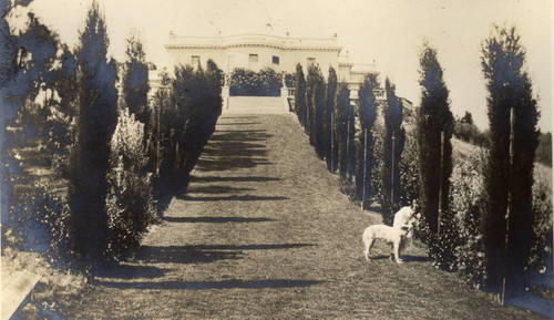 Alice Oge at the Beale's house in San Rafael, California, September 1913 [photograph]