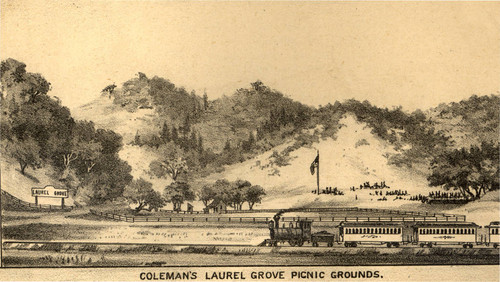 Laurel Grove Picnic Grounds, San Rafael, California, 1884 [illustration]