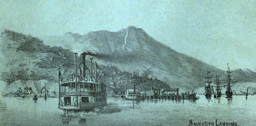 View of Sausalito Landing, Marin County, California, 1884 [illustration]