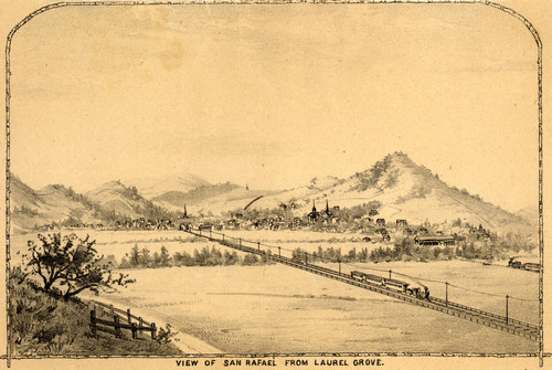 View of San Rafael, California, from Laurel Grove, 1884 [illustration]