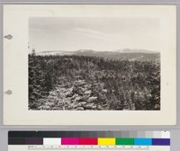 Mokelumne Peak. El. 9,371. From Alpine Highway. May 8, 1931
