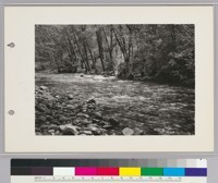 South Fork of the Mokelumne at Sawyer's bridge