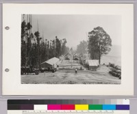 Grass Valley C.C.C. Camp, near Lake Chabot. The District had three such camps on its lands in 1933