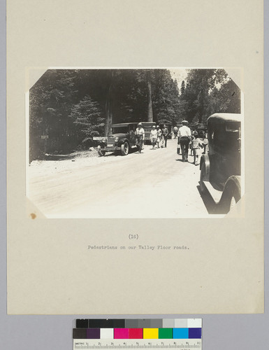 Pedestrians on our Valley Floor roads