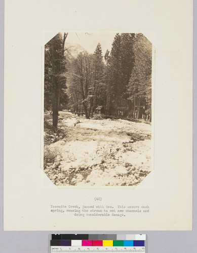 Yosemite Creek, jammed with ice. This occurs each spring, causing the stream to cut new channels and doing considerable damage