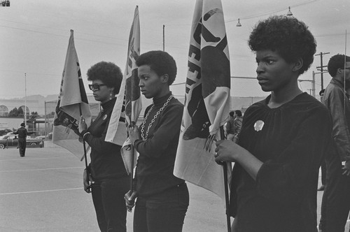 Black Panthers drilling before Free Huey Rally, DeFremery Park, Oakland, CA, #23 from A Photographic Essay on The Black Panthers