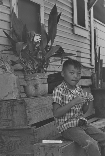 Boy sitting on steps, from Walnut Grove