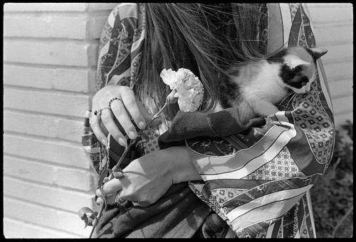 All the symbols of the Haight (girl holding kitten and carnation), Haight-Ashbury 1967