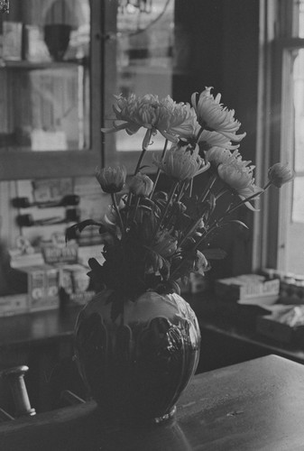 Japanese vase with chrysanthemums, from Walnut Grove