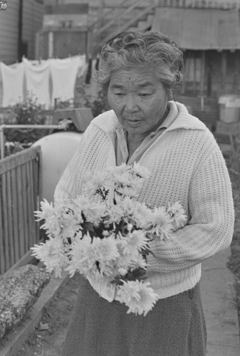 Woman holding chrysanthemums, from Walnut Grove: Portrait of a Town