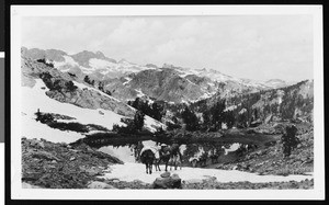 People on pack horses near a pond in snow-capped mountains, ca.1930