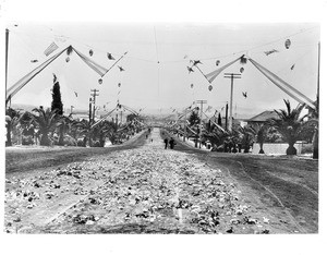 Orange Street in Redlands strewn with 100,000 roses for President Theodore Roosevelt to ride on, May 7, 1903