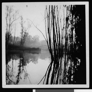 View looking down stream near Bimini Baths