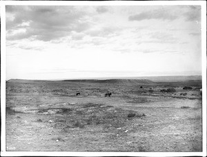 General view of the Painted Desert from Tohatchi, New Mexico, ca.1900