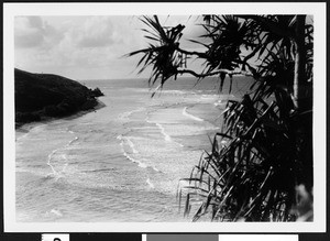 Birdseye view of a Hawaiian beach