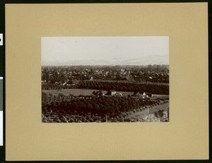 Panoramic view of Pomona looking southeast from the San Jose Hills near Ganesha Park, ca.1905