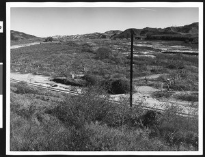 Birdseye view of groves along Route 126 between Fillmore and Piru, ca.1950-1980