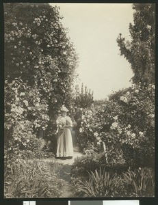 Woman holding a bouquet of roses standing at a crossroad in a garden