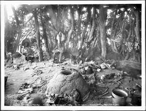 Interior of a Navajo chief's hogan with Navajo chiefs inside, ca.1892