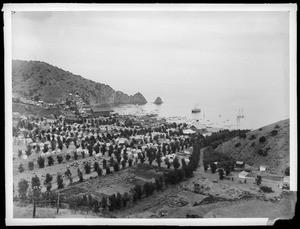 Avalon and harbor, looking over the city toward the sea, Santa Catalina Island, ca.1897-1905