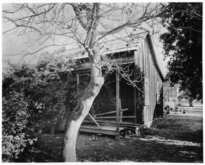 The "first home in Pasadena Colony", showing a small frame wooden structure in disrepair, Pasadena, ca.1895