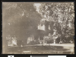 Vine-covered cottage in Petaluma, ca.1900