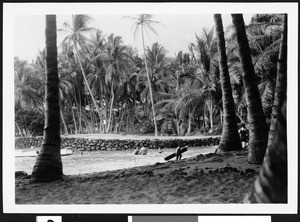 Hawaiians bathing in the water