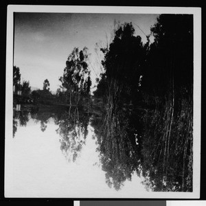 View looking down stream near Bimini Baths