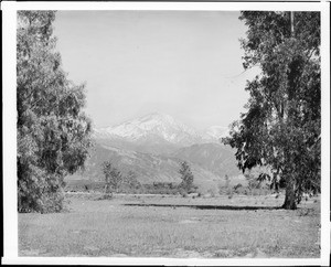 A distant view of the snow-capped San Bernardino Mountains, San Bernardino County, ca.1915