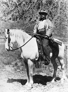 Portrait of President Theodore Roosevelt in hunting attire astride a horse