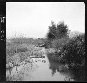 View along the drainage delta ditches in China, ca.1900