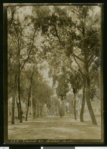 View of Third Street in Chico, ca.1910