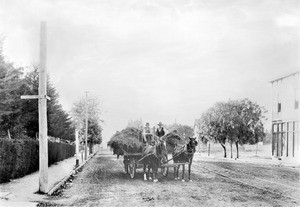 Portrait of brothers Ralph and Clarence Kinkaid with a load of hay on Pico Street, ca.1888