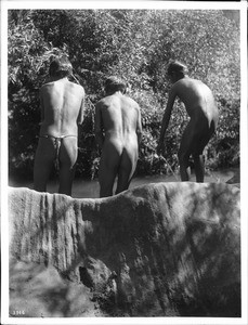 Three Havasupai Indian boys preparing to dive into the Havasu River, ca.1900