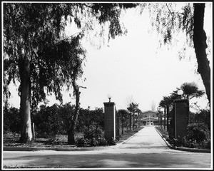 Two-story home at the end of a long driveway