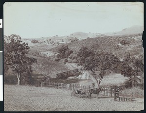 View of the Saratoga Foothills in the winter near San Jose, California, ca.1900