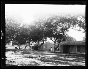 An exterior view of a row of Ranch style houses