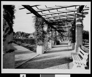 Mission San Fernando looking northwest in Pergola of Memory Garden, ca.1926