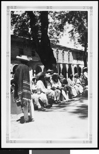 Men under a tree in Mexico, ca.1905