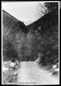 View of snow-capped Mount Baldy in San Bernardino County, ca.1900