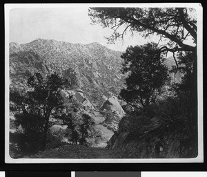 San Bernardino Mountains, near Goss, ca.1920