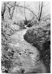 A stream in a Glendale canyon, California, ca.1900