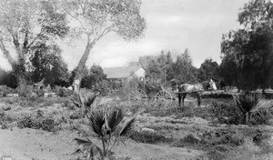 Exterior view of the third ranch adobe of Ygnacio Palomares, located at the intersection of Cucamonga Avenue and Orange Grove Avenue, ca.1880