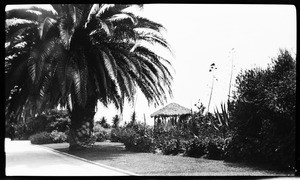 Roadside near Santa Monica shoreline